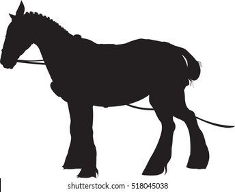 Silhouette of a horse. Pulled by horse. On a white background. Animal in the equipment.