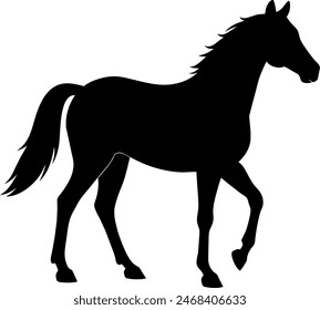 silhouette of a horse racing animal
