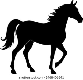 silhouette of a horse racing animal