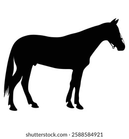 silhouette of a horse racing animal vector illustration