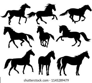 silhouette horse running, collection