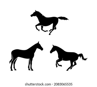 silueta de caballo, ilustración de caballo, silueta de animal