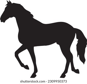 silhouette horse shape icon vector design  