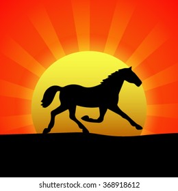 Silhouette of a horse at sunset