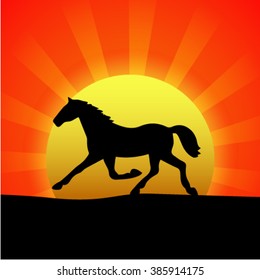 Silhouette of a horse at sunset.