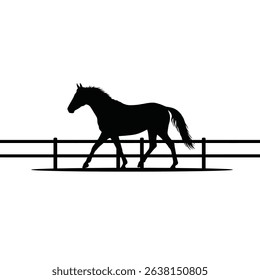 Silhouette: Horse Trotting in Fenced Paddock  Equestrian Scene