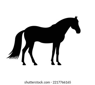 silueta de un caballo, mascota, caballo salvaje, bestia árabe para icono de la raza.  plantilla de diseño de logotipo. Silueta vectorial de un caballo. hermosa ilustración de boceto vectorial de caballo