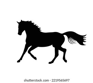 silueta de un caballo, mascota, caballo salvaje, bestia árabe para icono de la raza.  plantilla de diseño de logotipo. Silueta vectorial de un caballo. hermosa ilustración de boceto vectorial de caballo