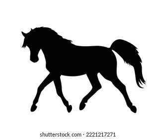 silueta de un caballo, mascota, caballo salvaje, bestia árabe para icono de la raza.  plantilla de diseño de logotipo. Silueta vectorial de un caballo. hermosa ilustración de boceto vectorial de caballo