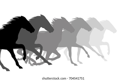 Silhouette horses running