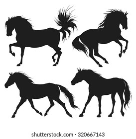 Silhouette of horses. Vector illustration