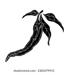 Silhouette of a hot chili pepper pod. Vector graphics.