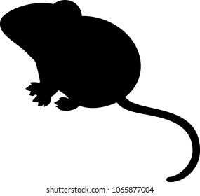 Silhouette of house mouse