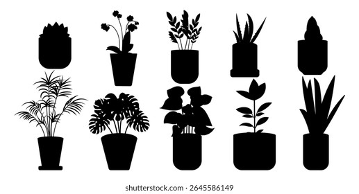 Silhouette house plants in pot set. Flower pots. Succulents, cacti, monstera, palm, anthurium, sansevieria, orchid, aloe vera and ficus. Vector illustration.