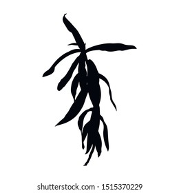 Silhouette of a houseplant. Vector monochrome floral illustration of a plant isolated on a white background.