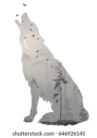 Silhouette of the howling wolf. Inside of it is a mysterious night forest with a moon and flying birds. Vector illustration, isolated object