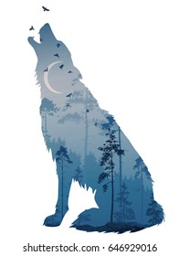 Silhouette of the howling wolf. Inside of it is a mysterious night forest with a moon and flying birds. Vector illustration, isolated object