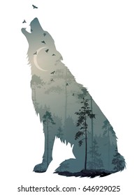 Silhouette of the howling wolf. Inside of it is a mysterious night forest with a moon and flying birds. Vector illustration, isolated object