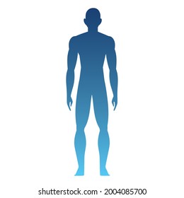 silhouette of a human body isolated