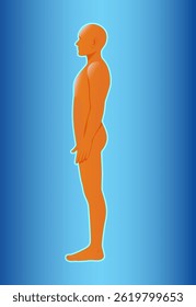Silhueta de uma figura humana em vista lateral com fundo azul gradiente, destacando estrutura anatômica e postura