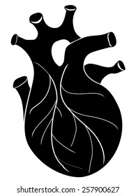silhouette of human heart