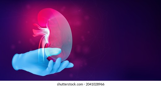 Silhouette of a human kidney on a realistic rubber glove. 3D medical concept with the contour of a human organ on abstract background. Vector illustration in neon line art style