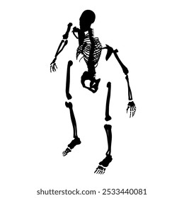 Silhouette of a human skeleton disassembled into bones isolated on a white background. Isometric view. Vector illustration.