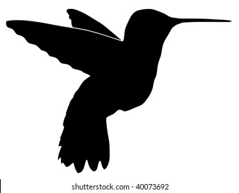 silhouette of hummingbird