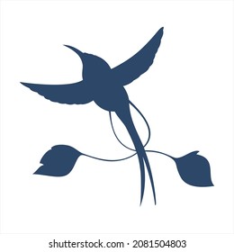 Silhouette de un colibrí de espatuletail. Vector de mirabilis de loddigesia.