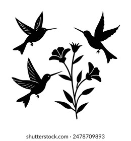Silhouette of Hummingbirds Hovering Near Flowers