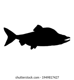 Ilustración del Vector de Pescado Salmón Humpback de Silhouette. Vista lateral.