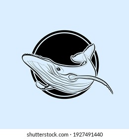 Silhouette of the humpback whale in black circle. Vector illustration.