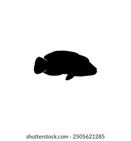 Silhouette of the The Humphead wrasse (Cheilinus undulatus), also known as the Māori wrasse, Napoleon wrasse, Napoleon fish. Flat Style, can use for Logo Gram, Animal Illustration, Pictogram, ect