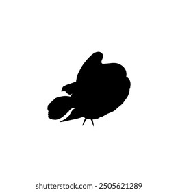 Silhouette of the The Humphead wrasse (Cheilinus undulatus), also known as the Māori wrasse, Napoleon wrasse, Napoleon fish. Flat Style, can use for Logo Gram, Animal Illustration, Pictogram, ect