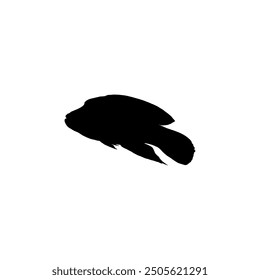 Silhouette of the The Humphead wrasse (Cheilinus undulatus), also known as the Māori wrasse, Napoleon wrasse, Napoleon fish. Flat Style, can use for Logo Gram, Animal Illustration, Pictogram, ect