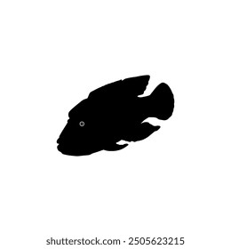 Silhouette of the The Humphead wrasse (Cheilinus undulatus), also known as the Māori wrasse, Napoleon wrasse, Napoleon fish. Flat Style, can use for Logo Gram, Animal Illustration, Pictogram, ect