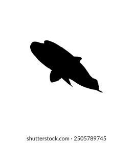 Silhouette of the The Humphead wrasse (Cheilinus undulatus), also known as the Māori wrasse, Napoleon wrasse, Napoleon fish. Flat Style, can use for Logo Gram, Animal Illustration, Pictogram, ect