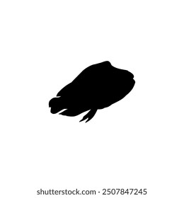 Silhouette of the The Humphead wrasse (Cheilinus undulatus), also known as the Māori wrasse, Napoleon wrasse, Napoleon fish. Flat Style, can use for Logo Gram, Animal Illustration, Pictogram, ect