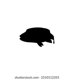 Silhouette of the The Humphead wrasse (Cheilinus undulatus), also known as the Māori wrasse, Napoleon wrasse, Napoleon fish. Flat Style, can use for Logo Gram, Animal Illustration, Pictogram, ect