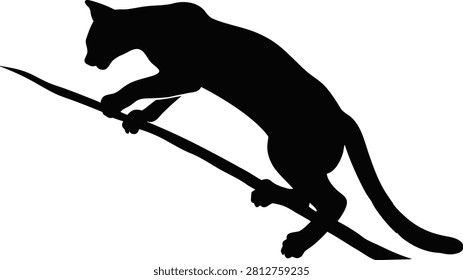 Silhouette of a hunting cat climbing a diagonal branch with silhouette, climbing