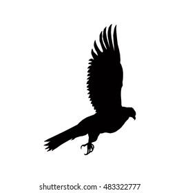 Silhouette of hunting eagle. Big claws.
