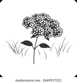 Silhueta de um aglomerado de hortênsia com floretes arredondados minúsculos, vetor floral