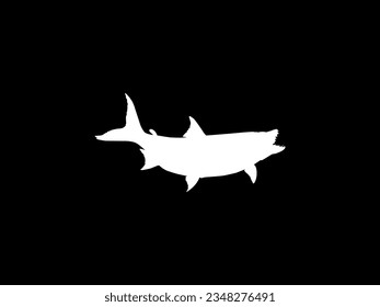 Silhouette of the Hydrocynus goliath, also known as the goliath tigerfish, giant tigerfish, or mbenga, is a very large African predatory freshwater fish of the family Alestidae. Vector Illustration