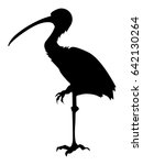 silhouette of ibis