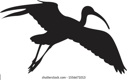 Silhouette Ibis Bird Black Isolated Vector