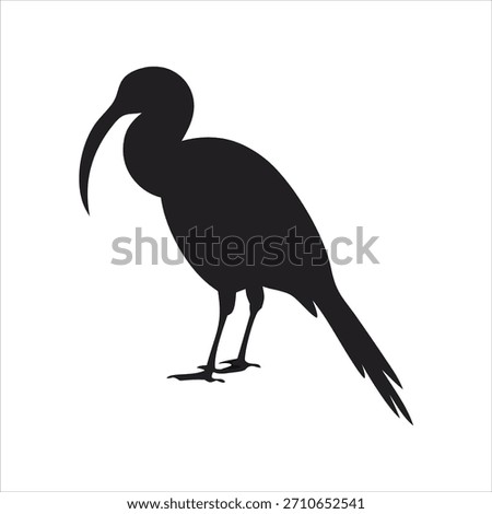 Silhouette of an Ibis bird with its distinctive long, curved beak and slender legs standing against a white background