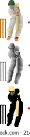 Silhouette icon of batsman defending his wicket. Vector illustration.