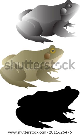 Silhouette icon of big bullfrog. Vector illustration.