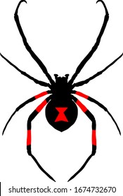 Silhouette icon of a black widow spider with red hourglass pattern on its abdomen, scientifically known as Latrodectus. Vector illustration. 