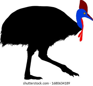Silhouette icon of a cassowary bird, scientifically known as Casuarius. Vector illustration.
